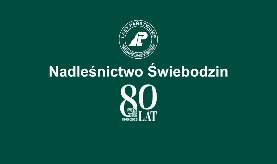 Informowanie samorządów o działalności nadleśnictw