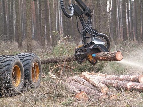 Sprzedaż detaliczna drewna